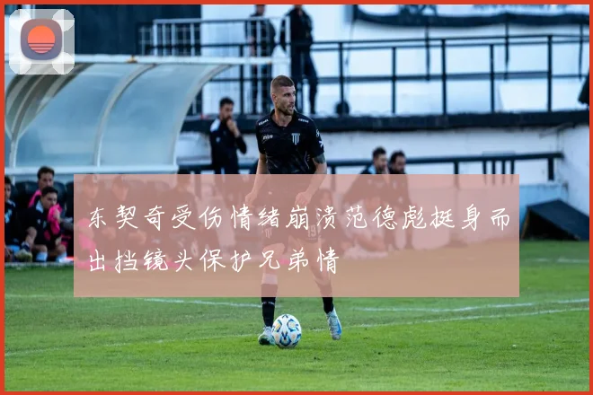 东契奇受伤情绪崩溃范德彪挺身而出挡镜头保护兄弟情